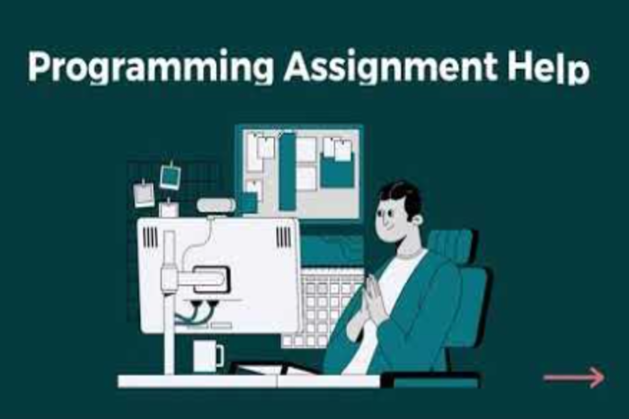 Programming Assignment Help