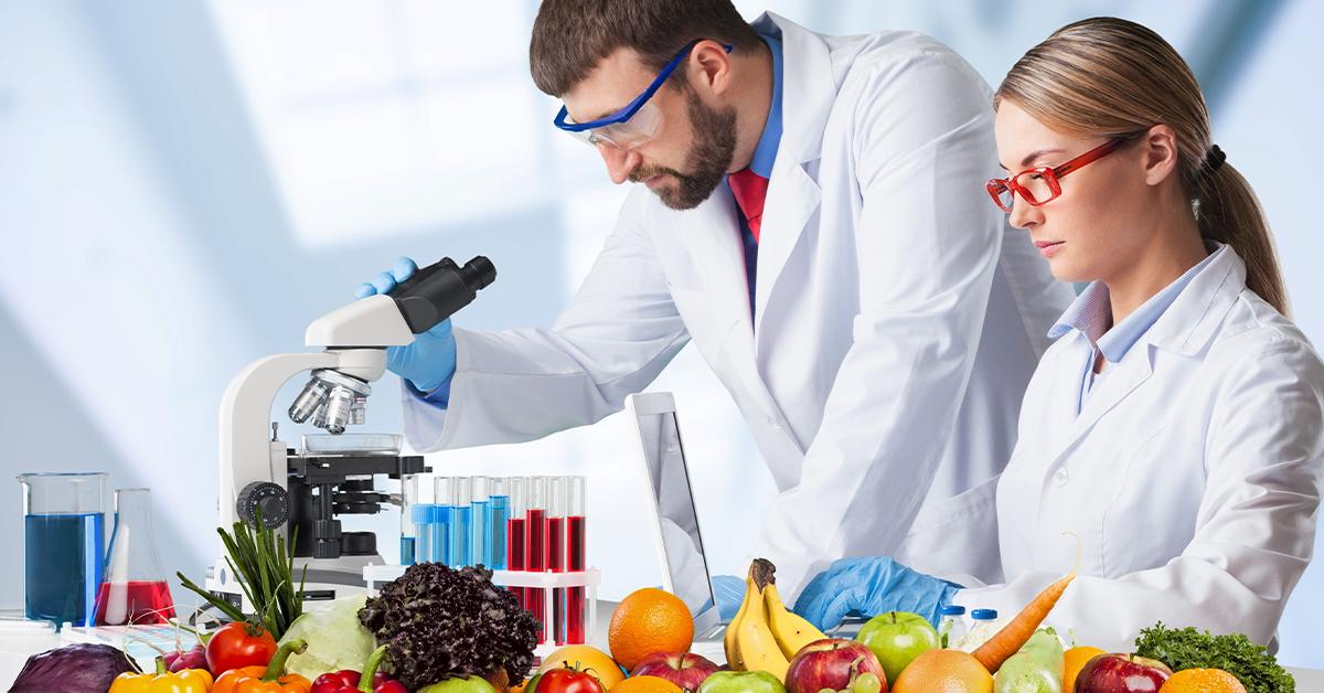 bsc food science and technology