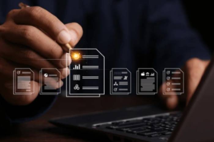 Business Formation services in India