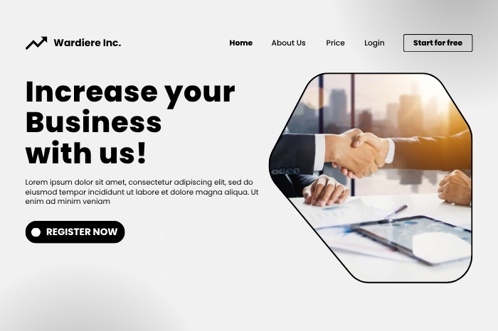 accounting website